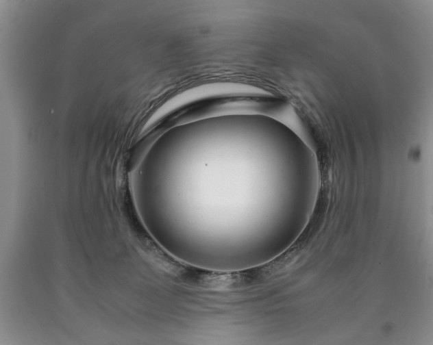 X0000090600131200707241052