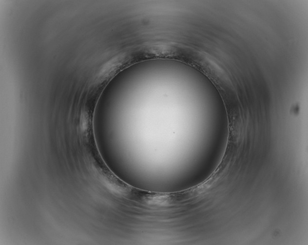 X0000090600132200707241052