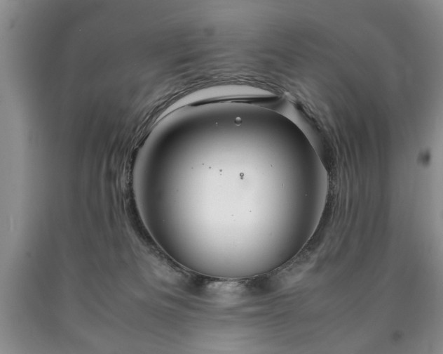 X0000090600133200707241052