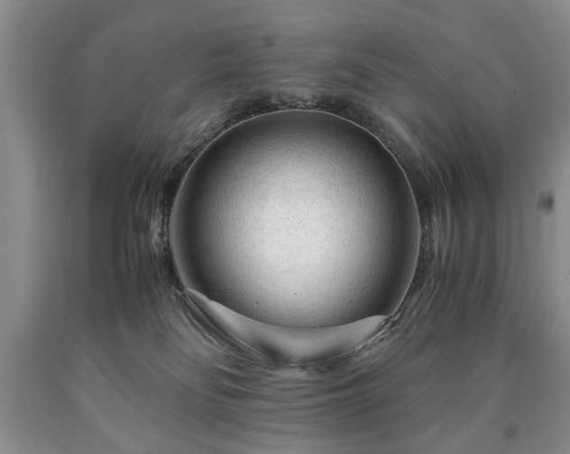 X0000090600134200707241052