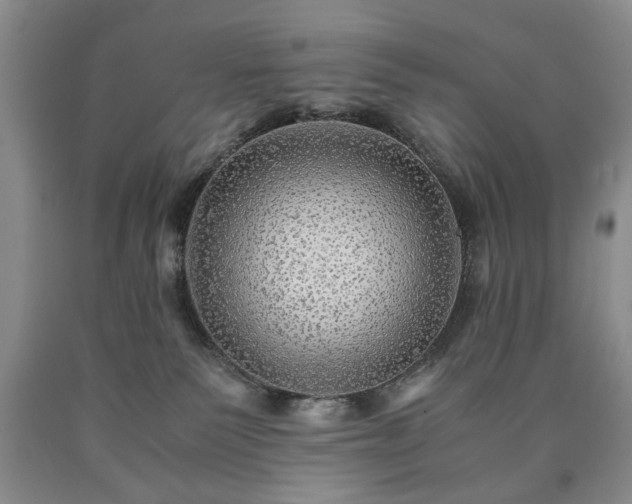 X0000090600135200707241052