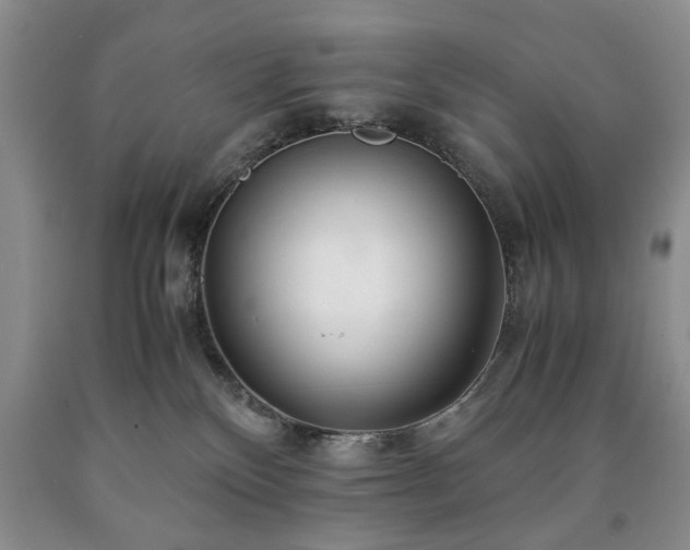 X0000090600136200707241052