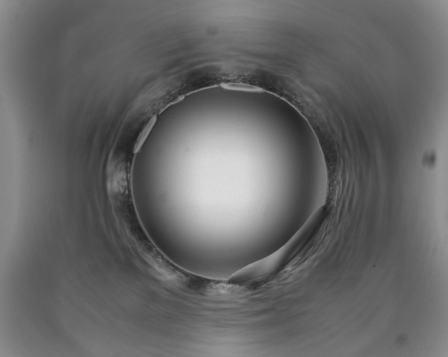 X0000090600137200707241052