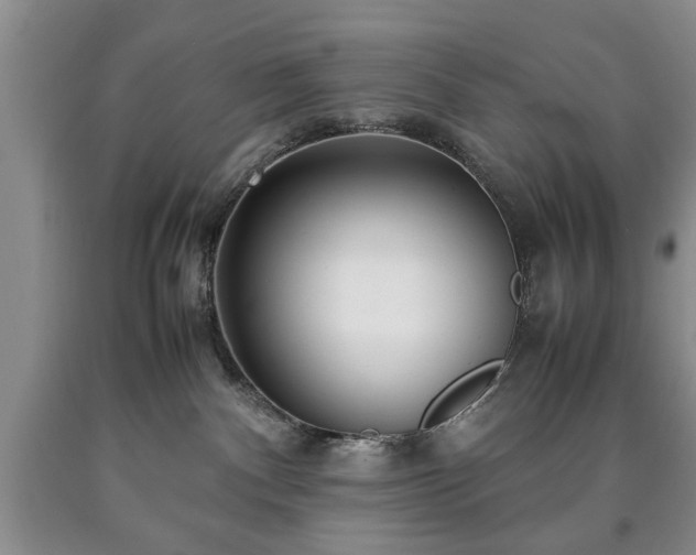 X0000090600140200707241052