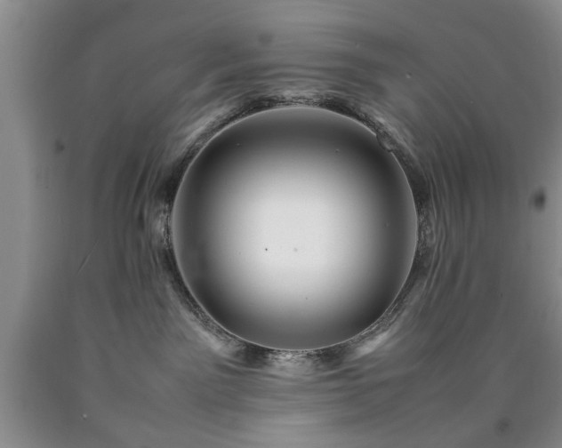 X0000090600141200707241052