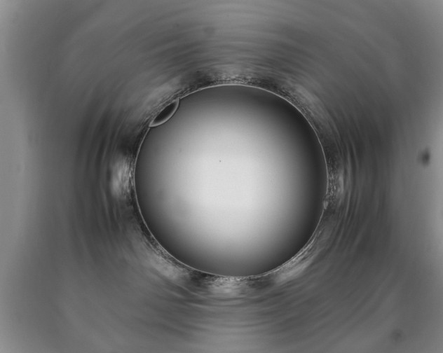 X0000090600142200707241052