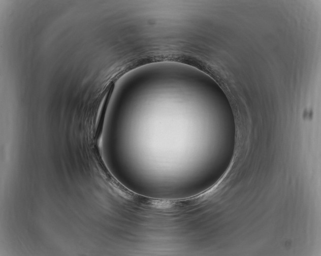 X0000090600144200707241052