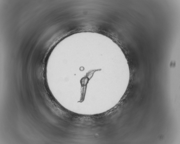 X0000090600146200707241051