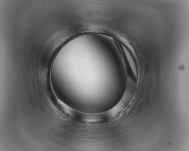 X0000090600154200707241052