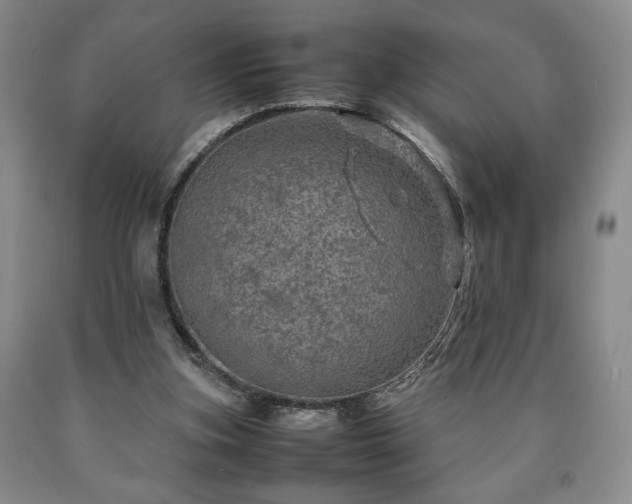 X0000090600155200707241052