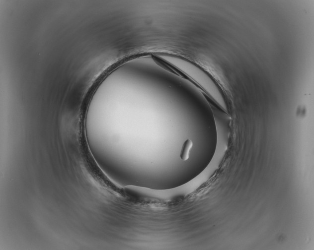 X0000090600156200707241052