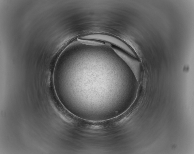 X0000090600157200707241052