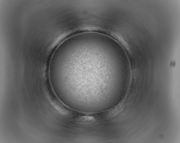 X0000090600159200707241052