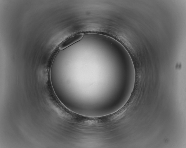 X0000090600160200707241052