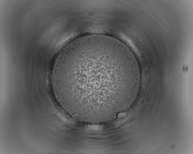 X0000090600161200707241052