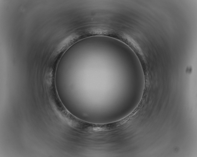 X0000090600163200707241052