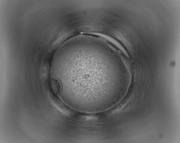 X0000090600165200707241052