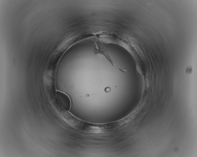 X0000090600167200707241052