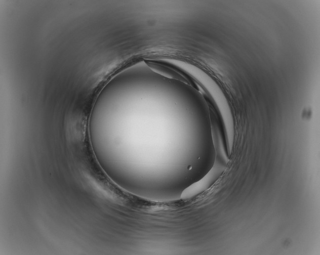 X0000090600168200707241052