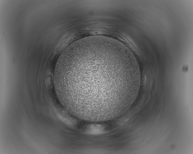 X0000090600169200707241052