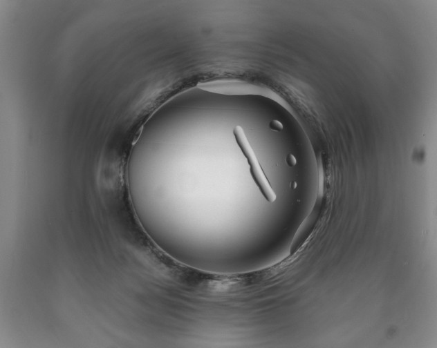 X0000090600172200707241052