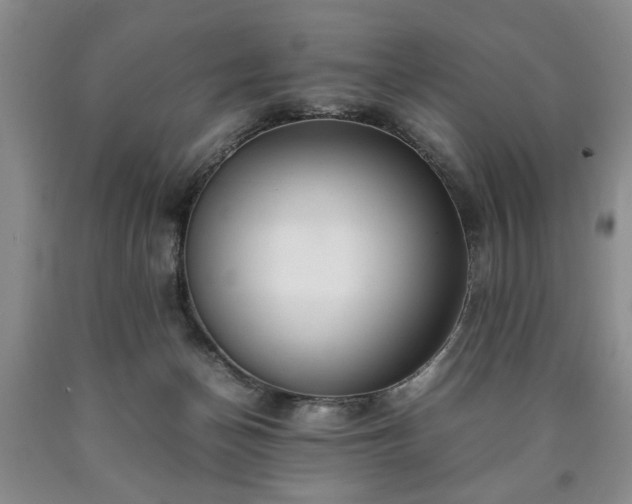 X0000090600174200707241052