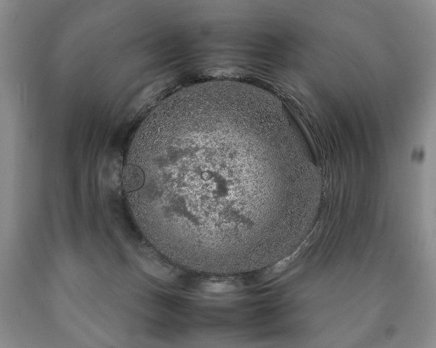 X0000090600175200707241052