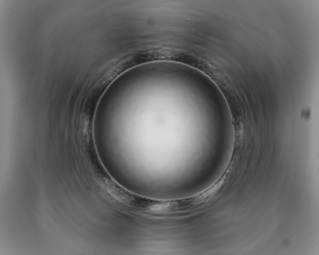 X0000090600178200707241052