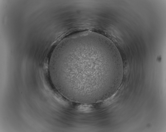 X0000090600179200707241052