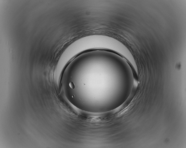 X0000090600180200707241052