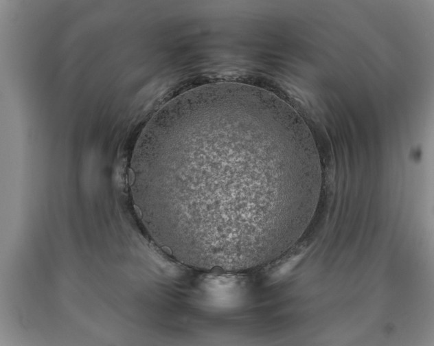 X0000090600181200707241052