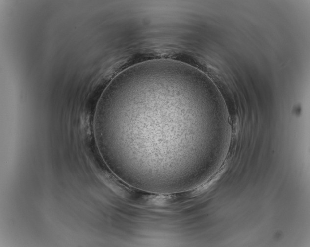 X0000090600182200707241052