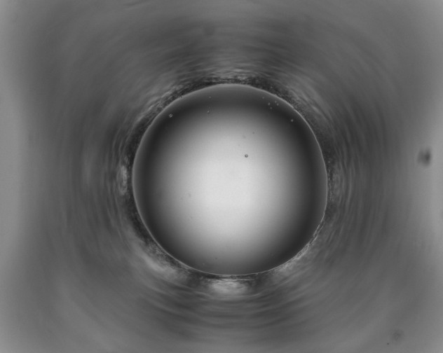 X0000090600183200707241052