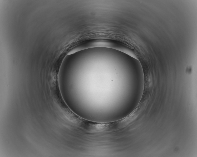 X0000090600184200707241052