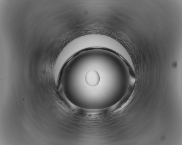 X0000090600186200707241052