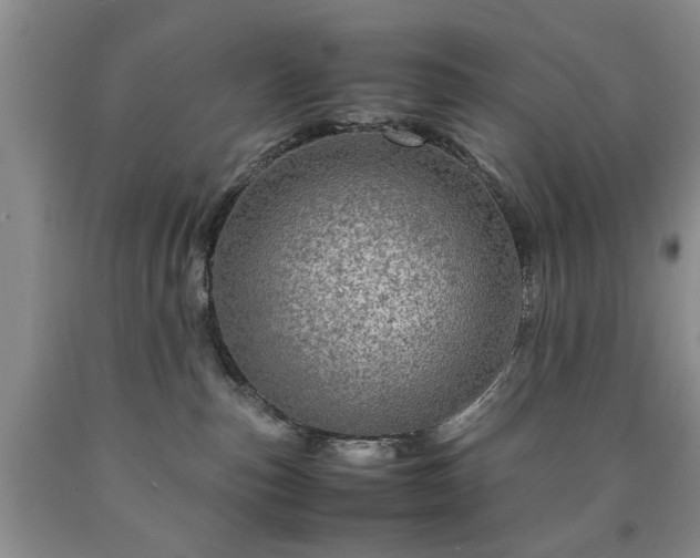 X0000090600187200707241052