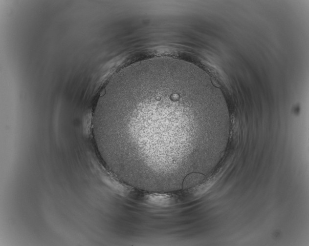 X0000090600189200707241052