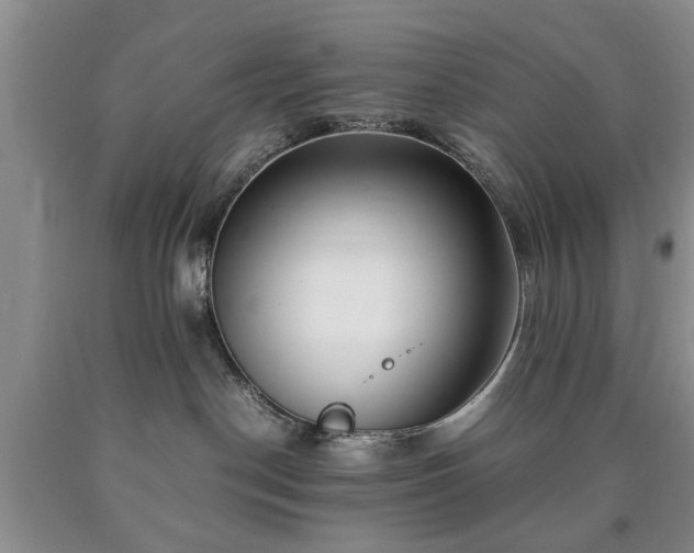 X0000090600190200707241052