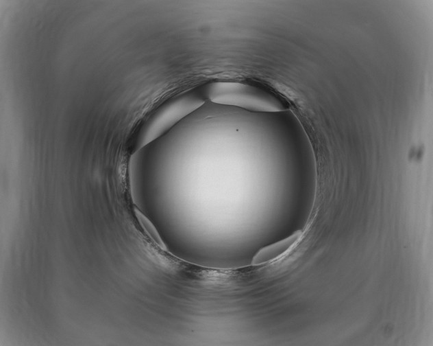 X0000090600192200707241052