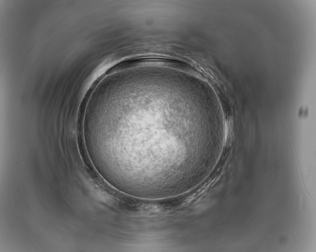 X0000090600195200707241051