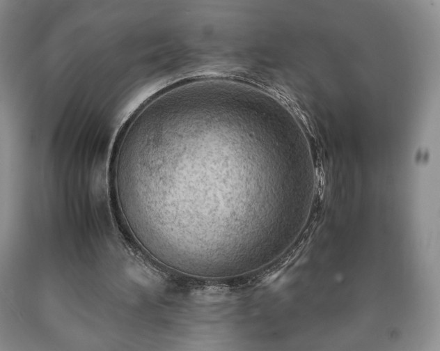 X0000090600196200707241051