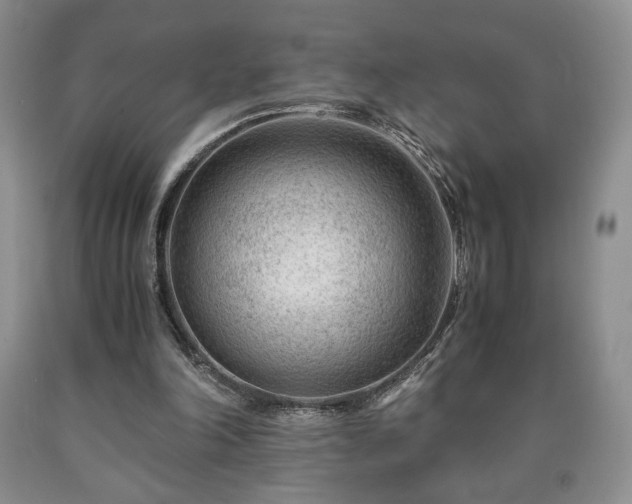 X0000090600198200707241051