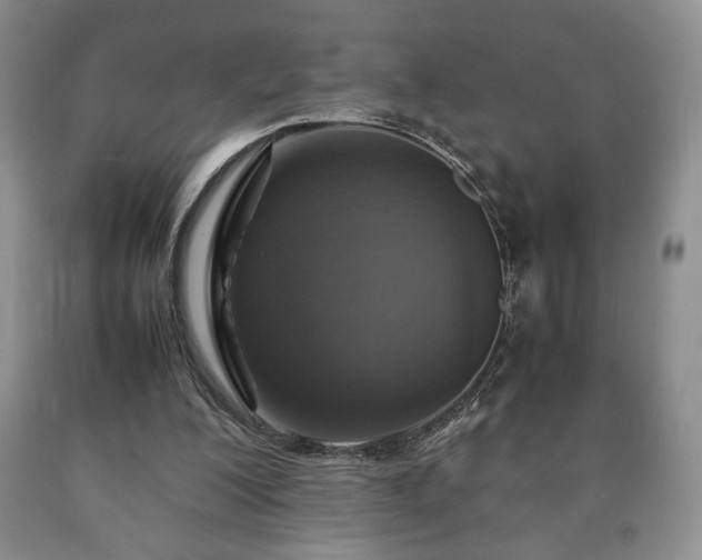 X0000090600200200707241051