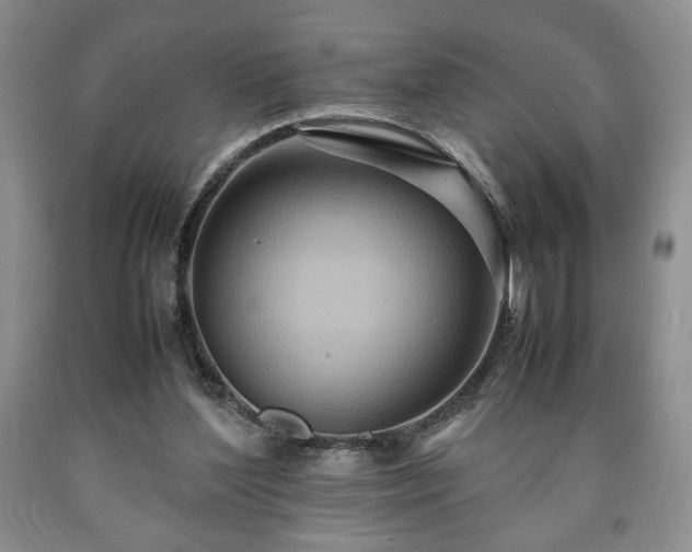 X0000090600204200707241051