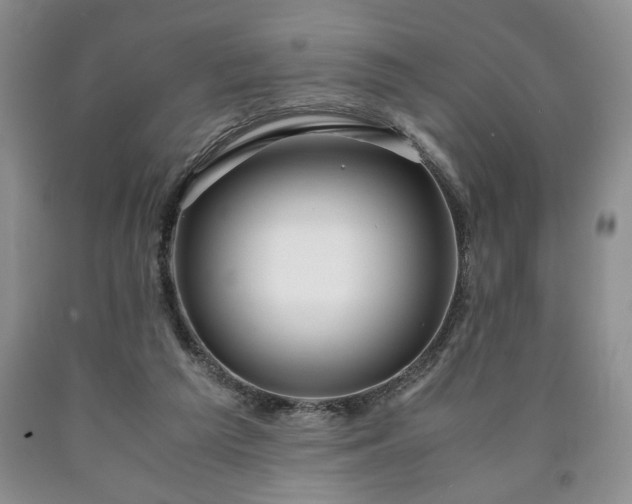 X0000090600209200707241051