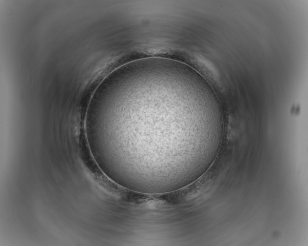 X0000090600210200707241051