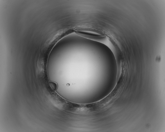 X0000090600212200707241051