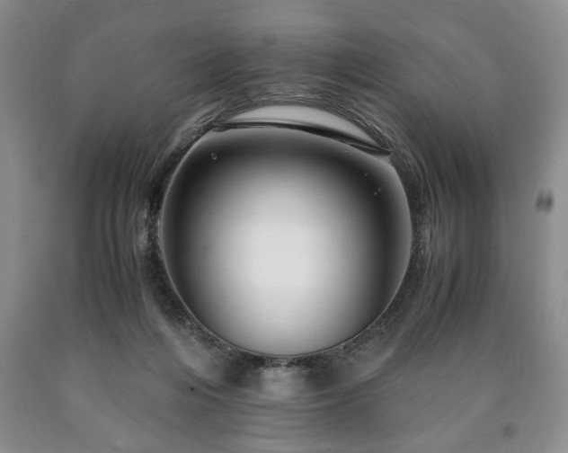 X0000090600216200707241051