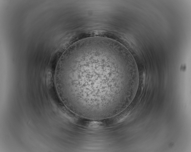 X0000090600222200707241051