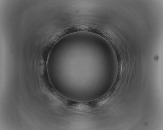 X0000090600223200707241051